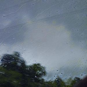 国产伦子伦视频免费播放
